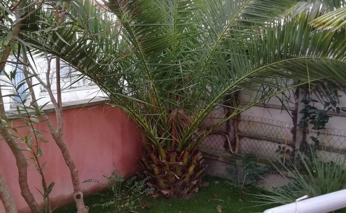 Photo of Outdoor in Dax