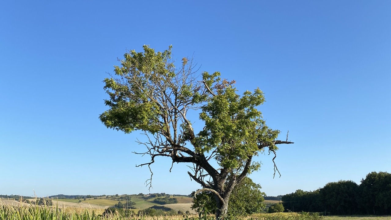 Photo of Others in Courlac