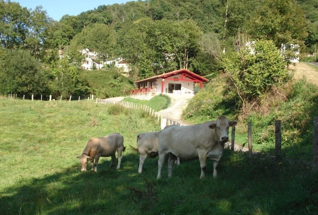 Photo of Others in Arneguy