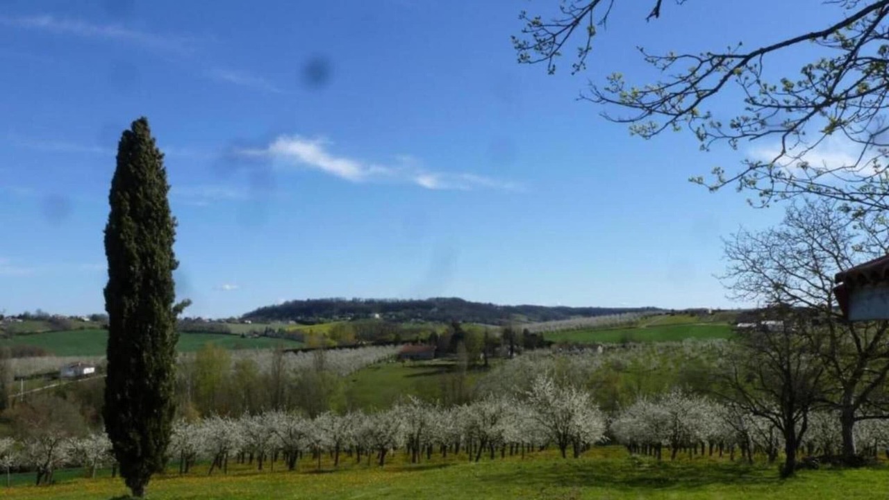 Photo of Others in Castelmoron-sur-Lot