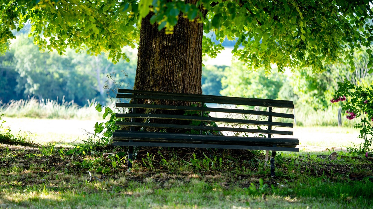Photo of Outdoor in Poullignac