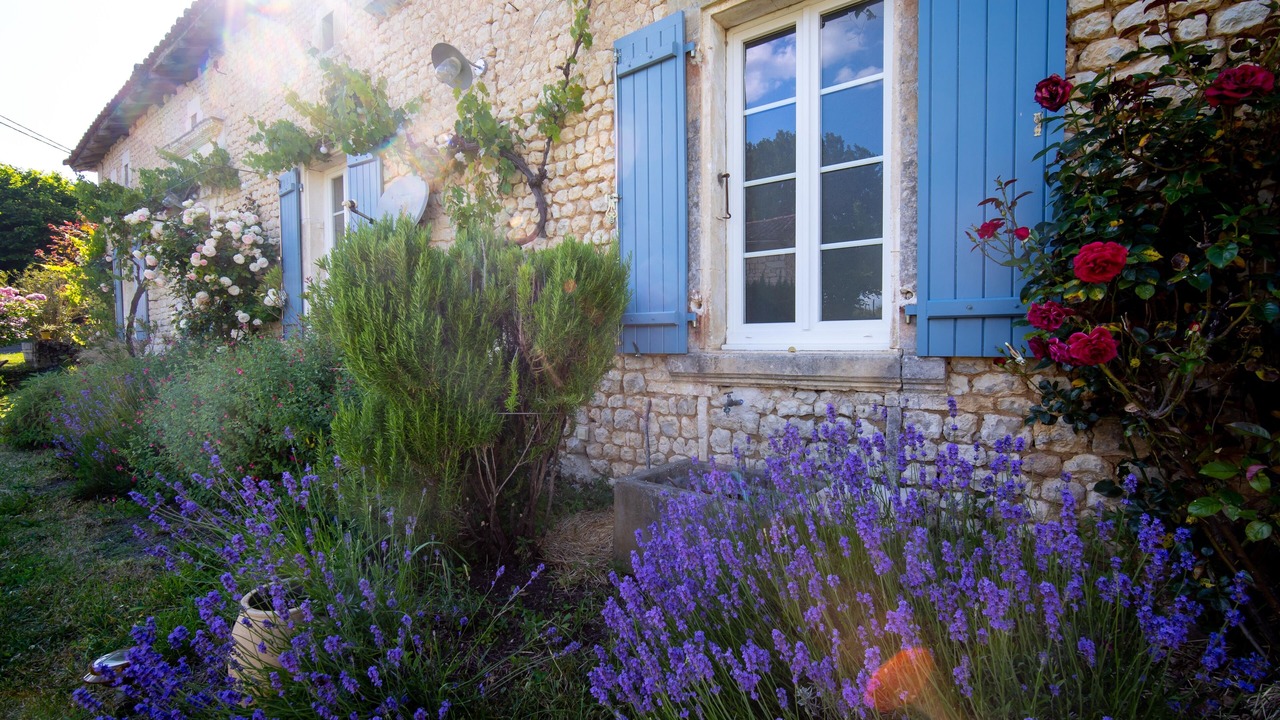 Photo of Outdoor in Poullignac
