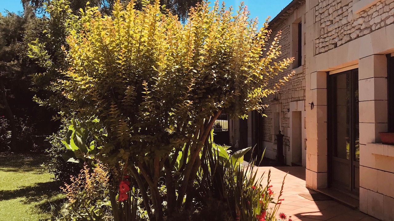Photo of Outdoor in Tourtenay