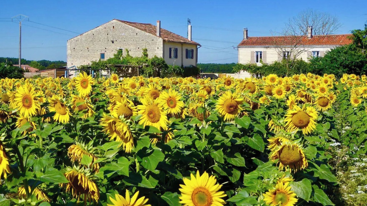 Photo of Others in Villeneuve-la-Comtesse