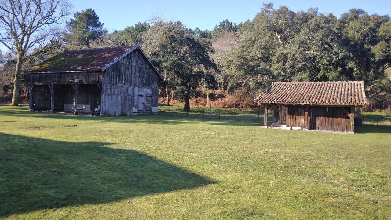 Photo of Outdoor in Vielle-Saint-Girons