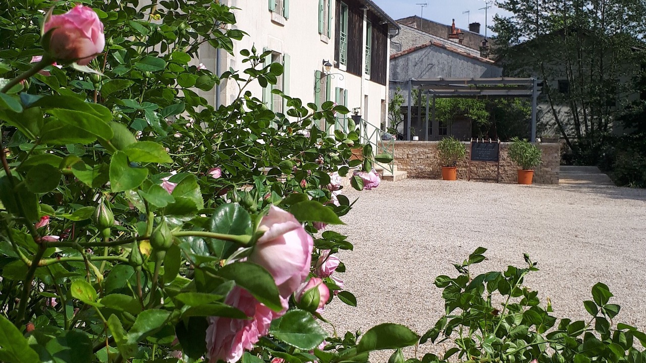 Photo of Outdoor in Arcais