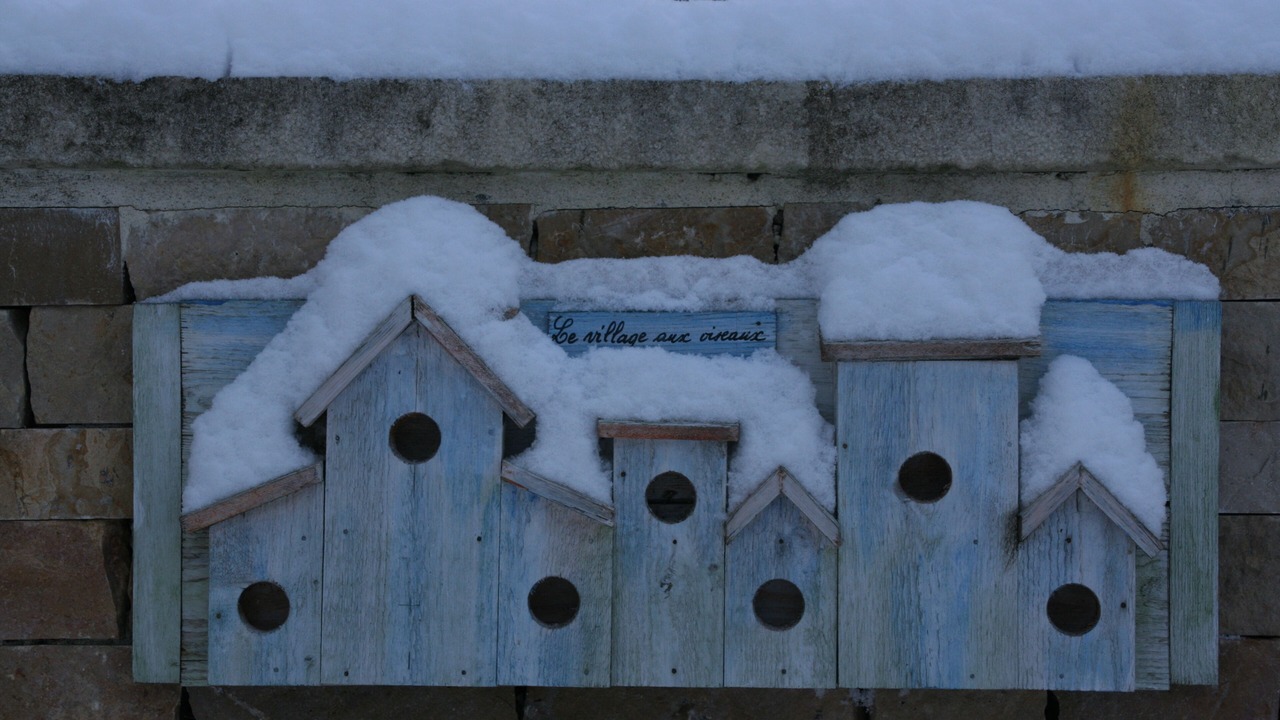 Photo of Outdoor in Arcais