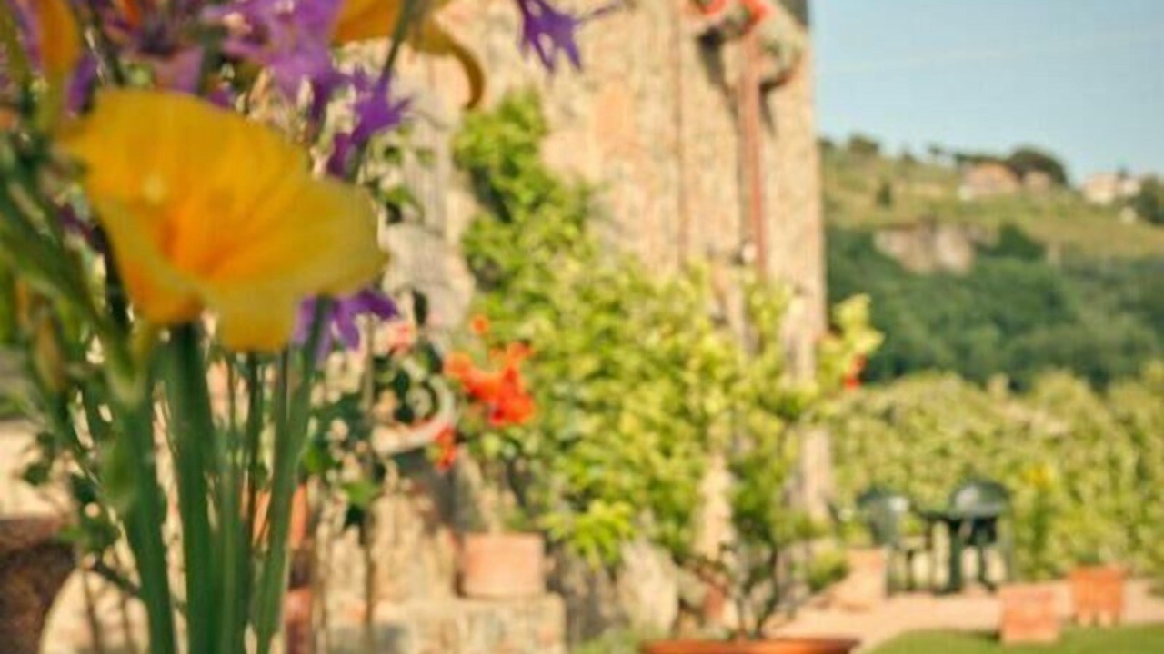 Photo of Outdoor in Lamporecchio