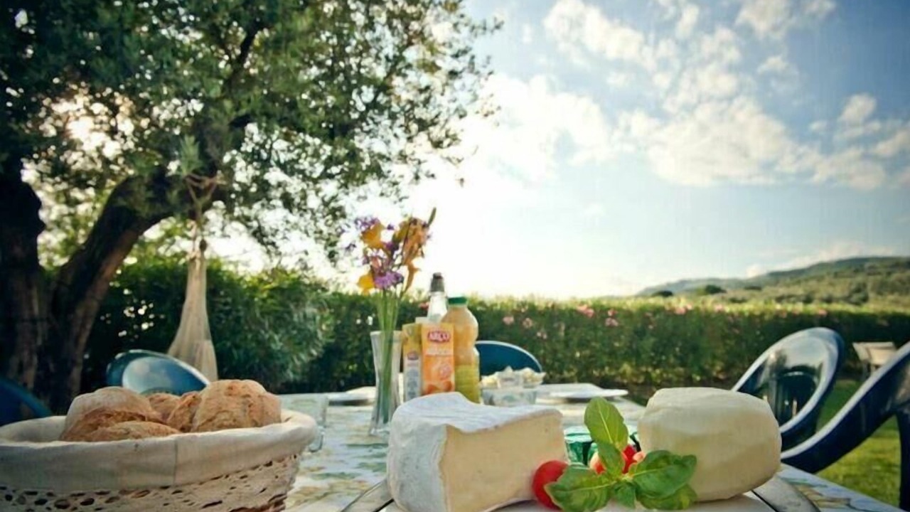 Photo of Outdoor in Lamporecchio