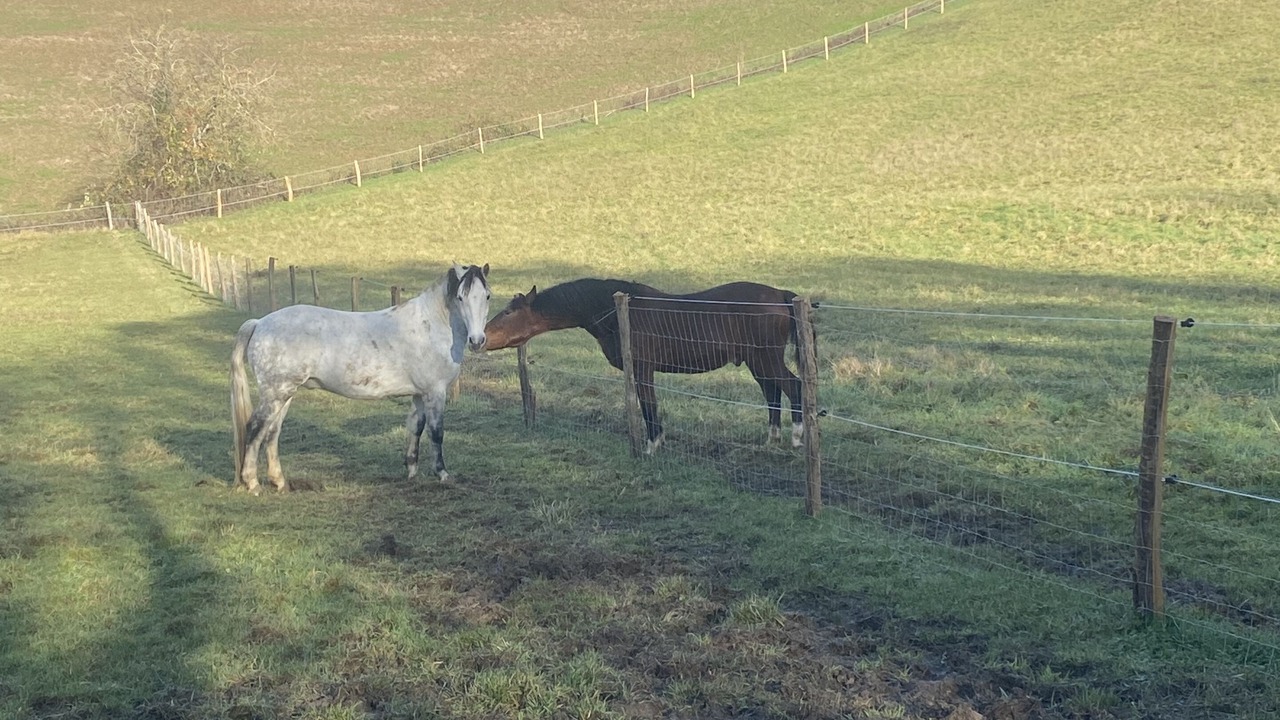 Photo of Outdoor in Clermont-Dessous
