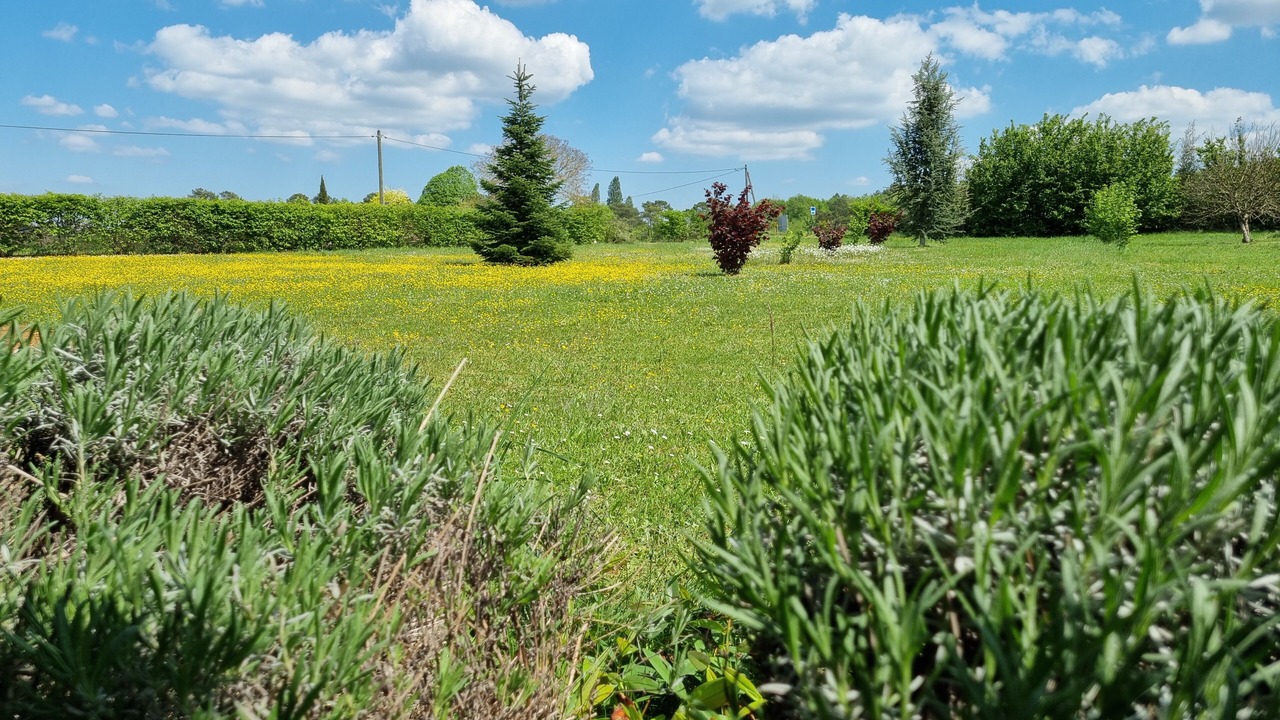 Photo of Outdoor in Saint-Genies
