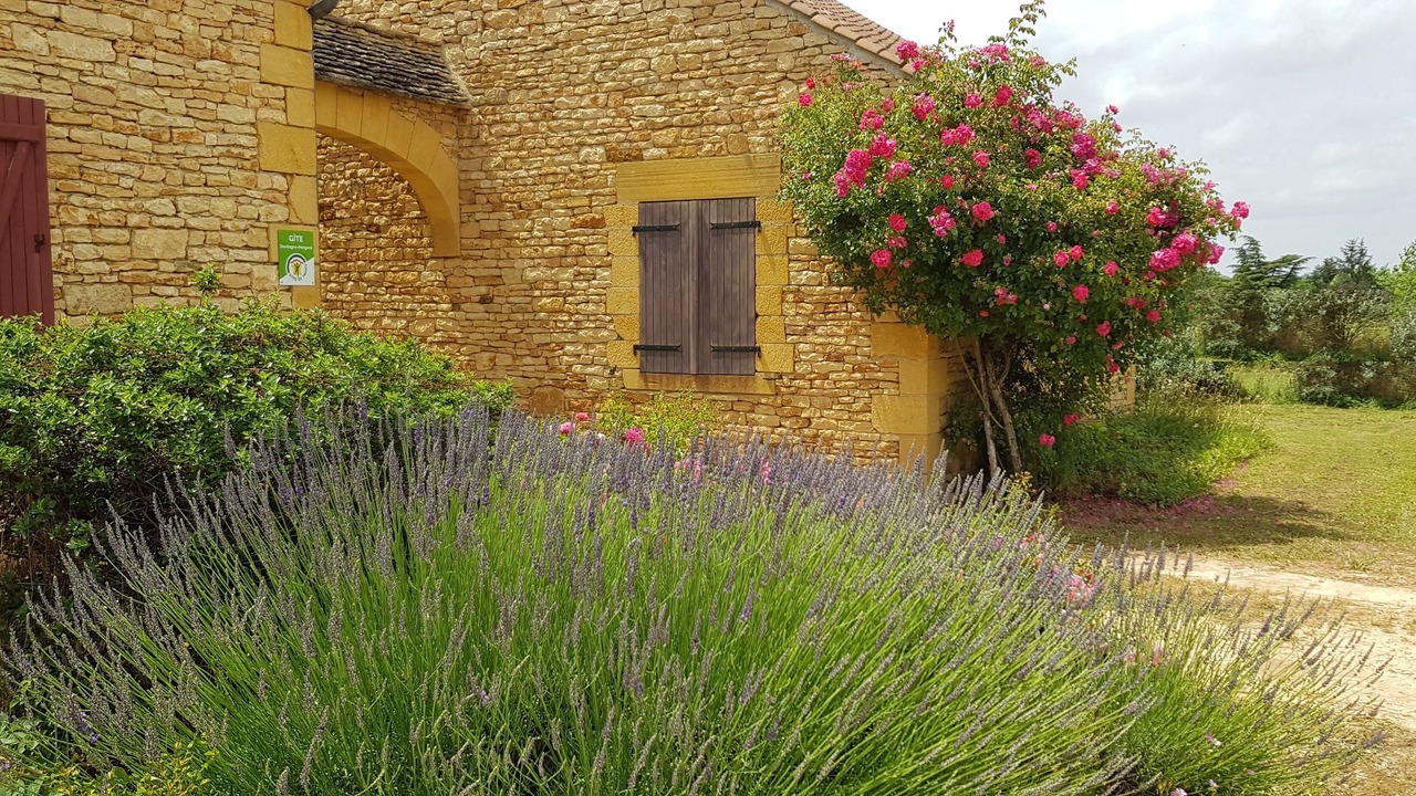 Photo of Outdoor in Saint-Genies