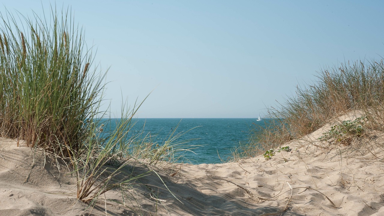 Photo of Others in Le Chateau-d'Oleron