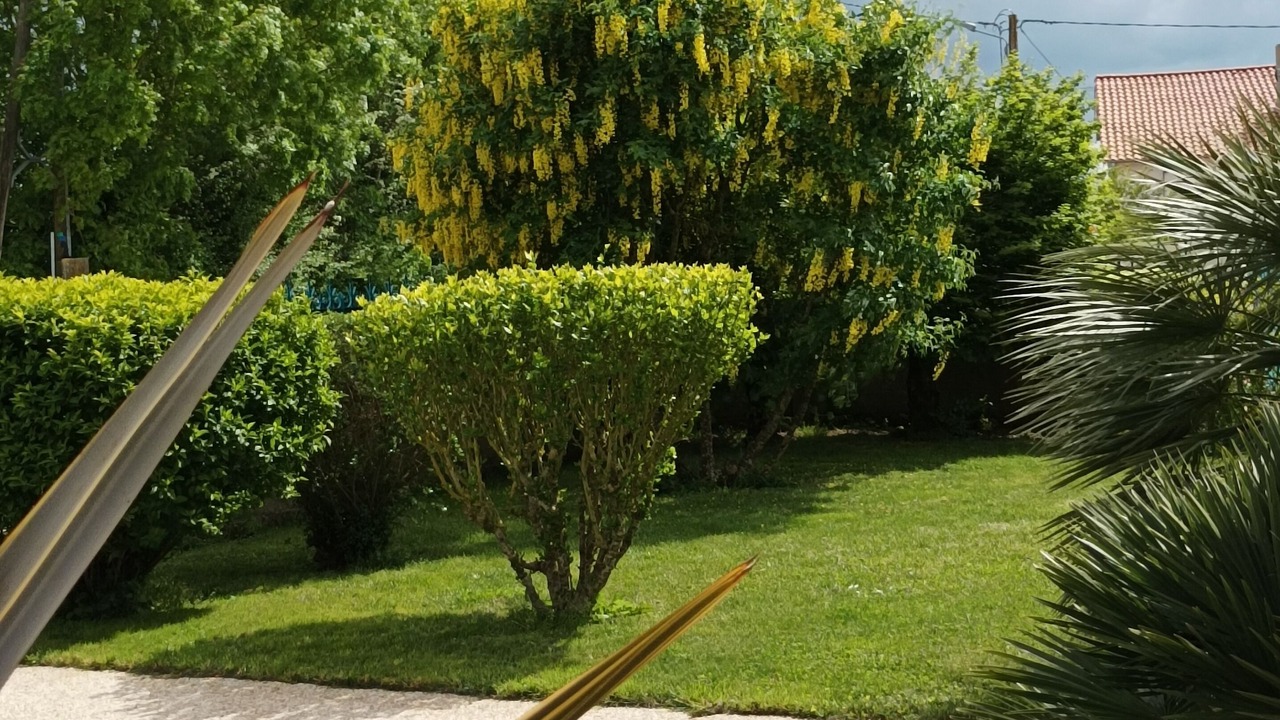 Photo of Outdoor in Saint-Hilaire-la-Palud