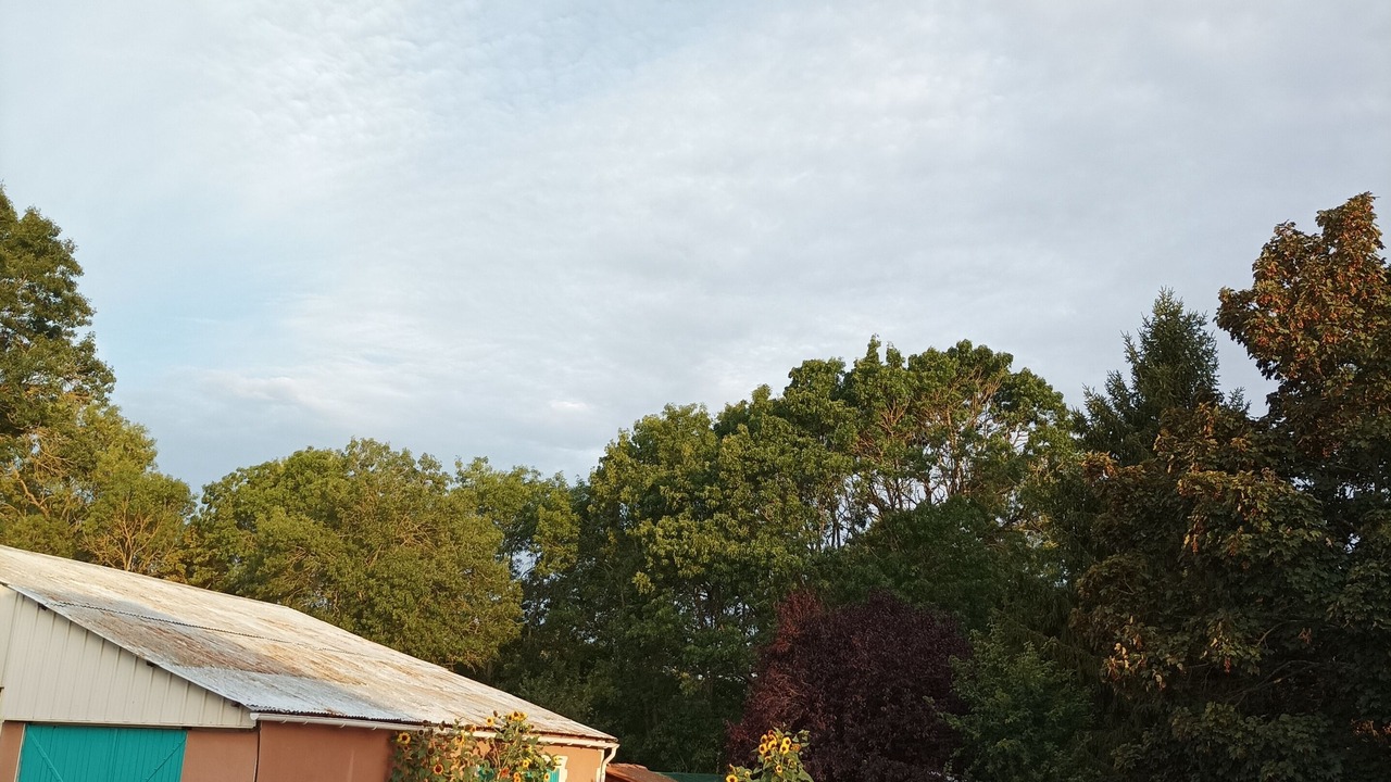 Photo of Others in Saint-Hilaire-la-Palud