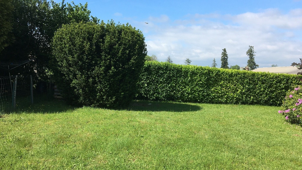 Photo of Outdoor in La Chapelle Montbrandeix
