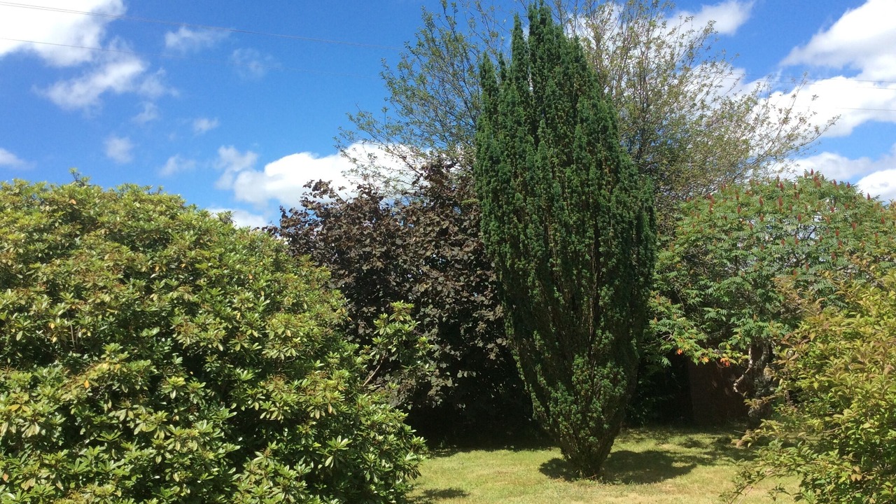 Photo of Outdoor in La Chapelle Montbrandeix