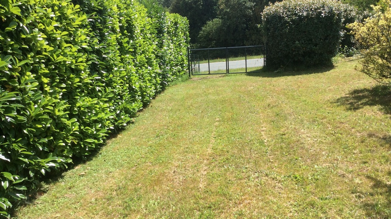 Photo of Outdoor in La Chapelle Montbrandeix