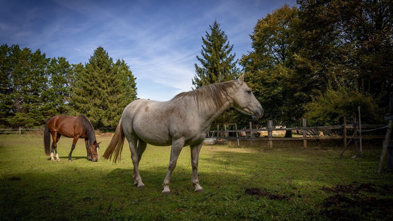Photo of Others in Rancogne