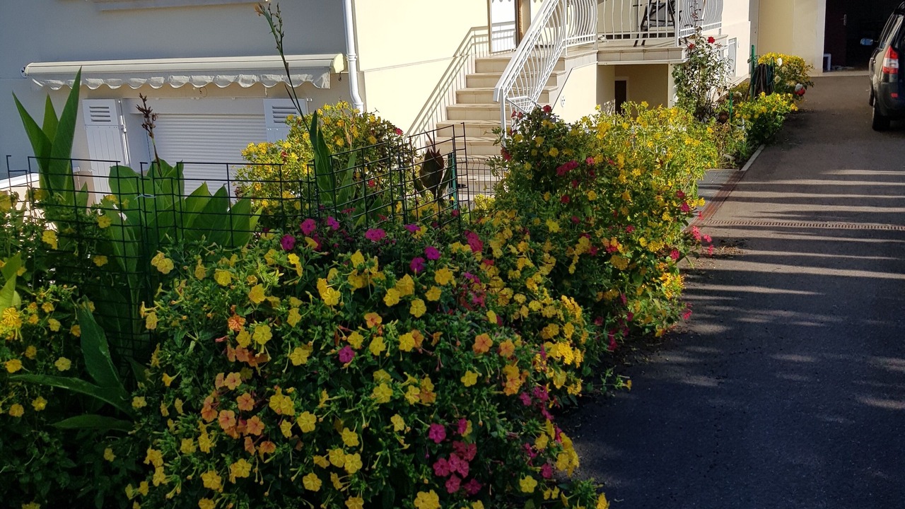 Photo of Outdoor in Mimizan