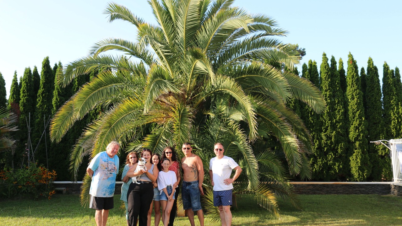 Photo of Outdoor in Mimizan