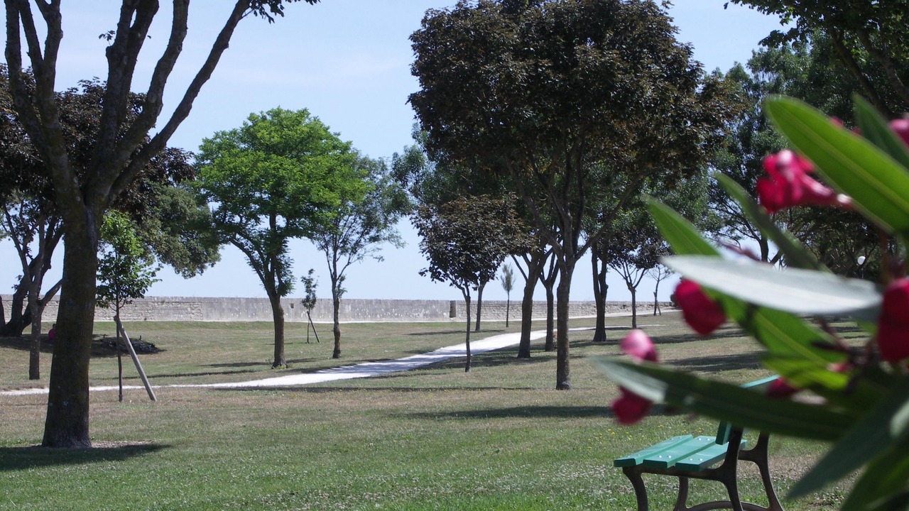 Photo of Outdoor in Saint-Amand-Magnazeix