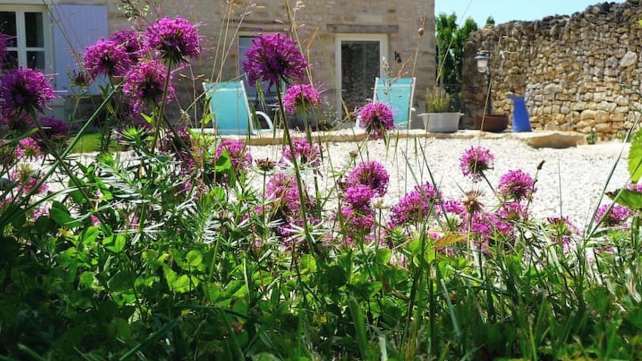 Photo of Outdoor in Celles-sur-Belle