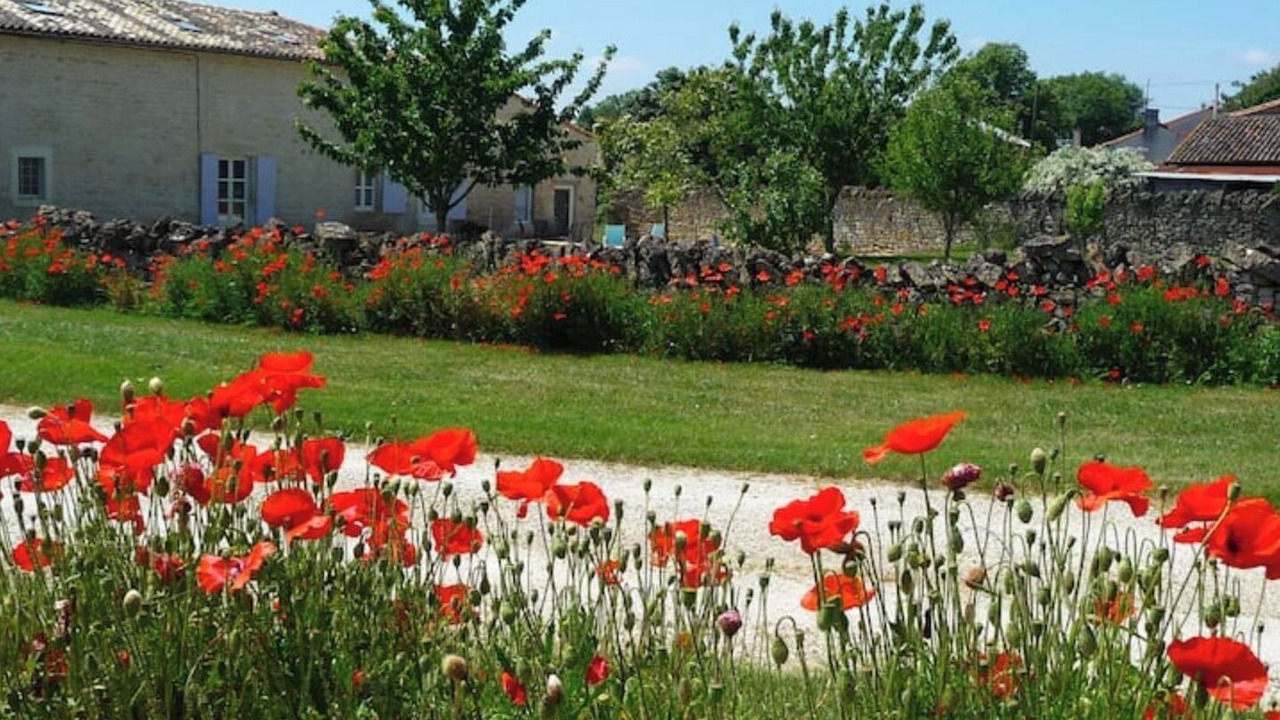 Photo of Outdoor in Celles-sur-Belle