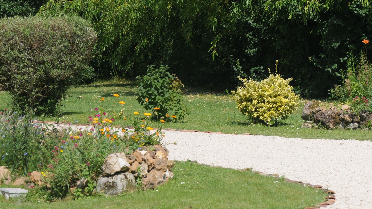 Photo of Outdoor in Saint-Savin
