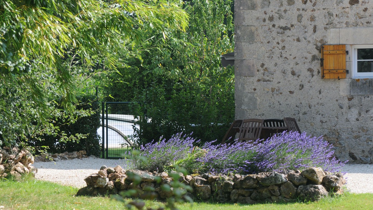 Photo of Outdoor in Saint-Savin