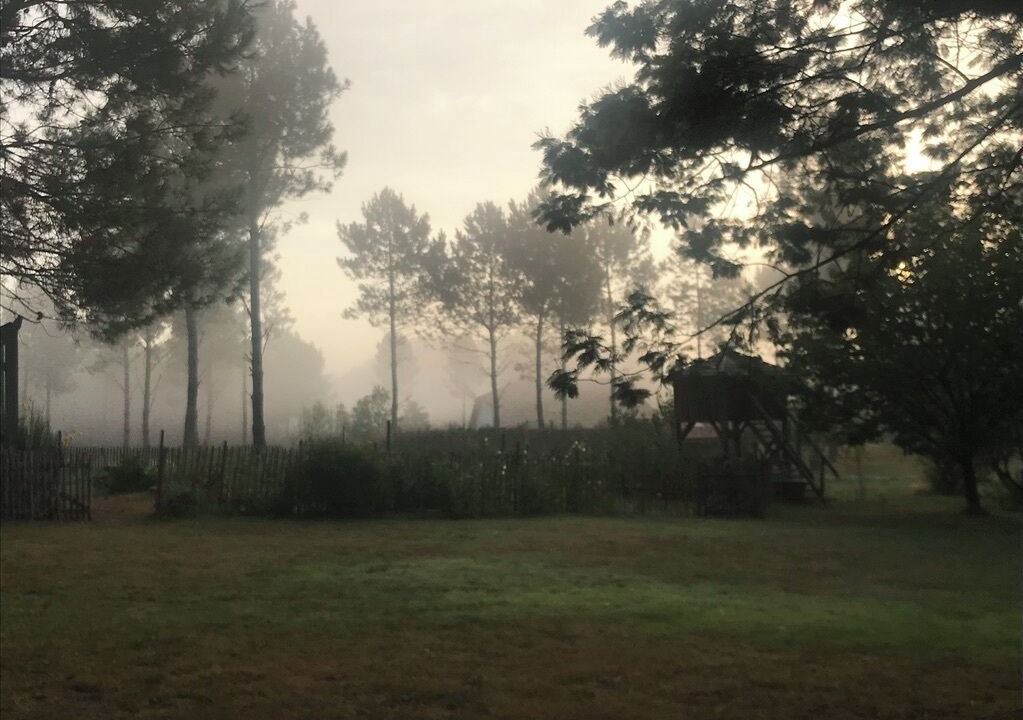 Photo of Outdoor in Saint-Geours-de-Maremne