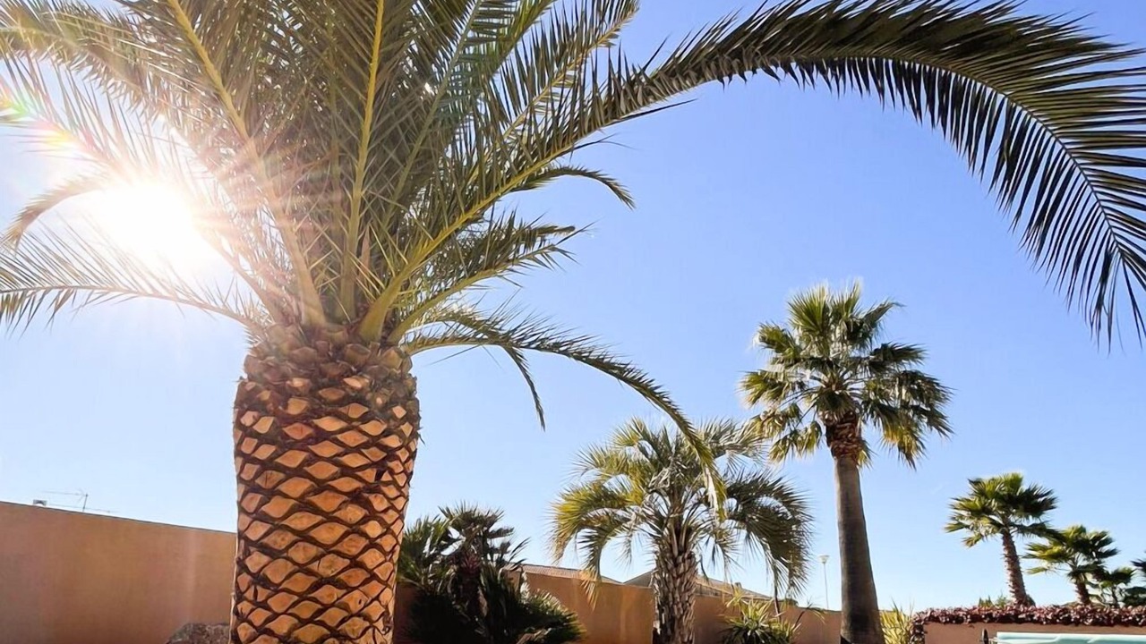 Photo of Outdoor in La Bouverie