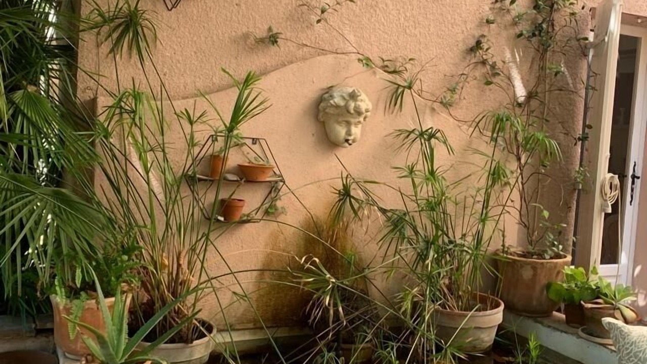 Photo of Outdoor in Toulon