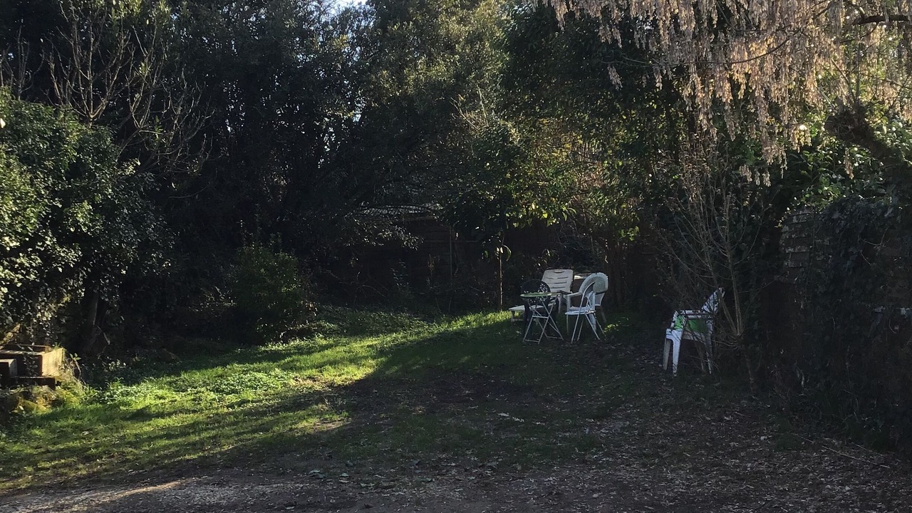 Photo of Outdoor in Saint-Macaire