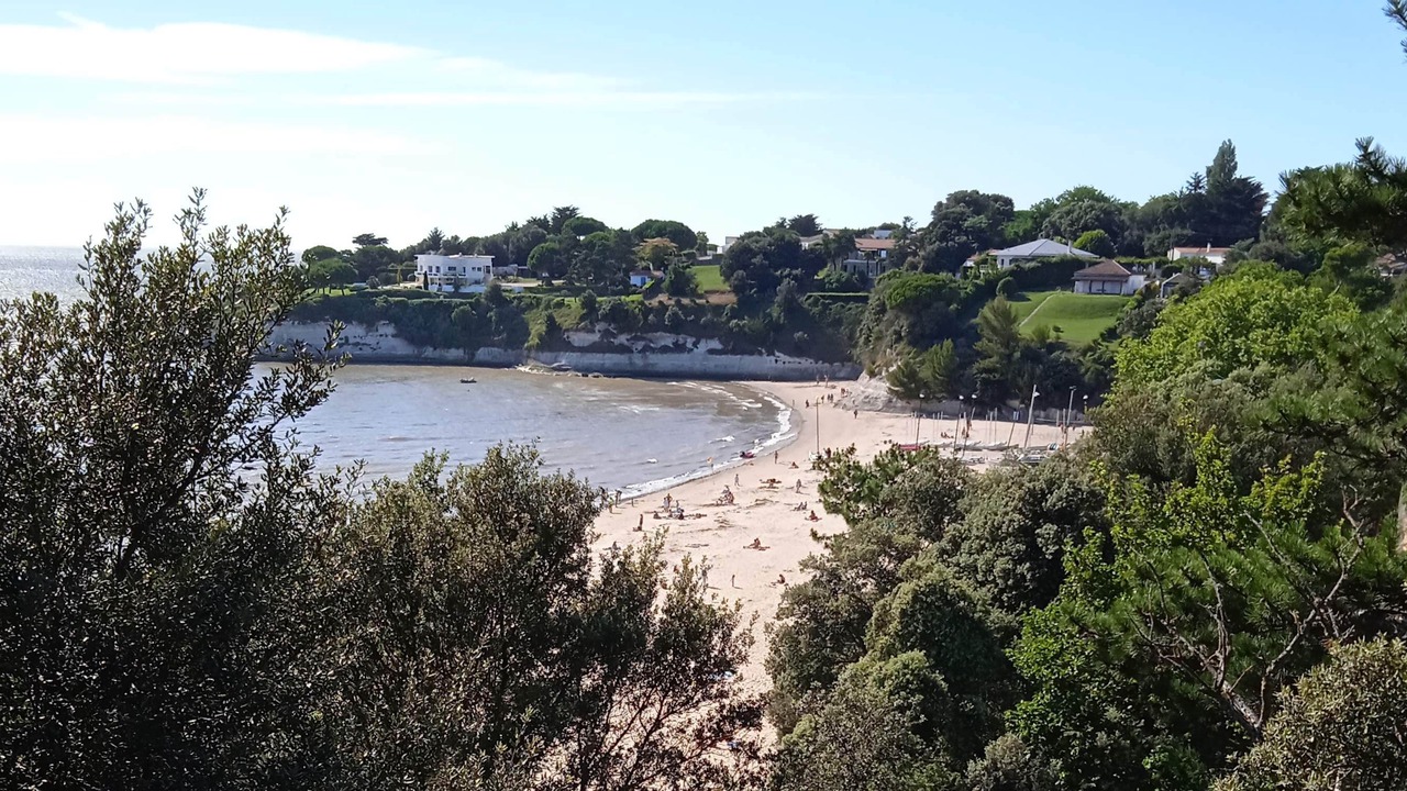 Photo of Others in Meschers-sur-Gironde