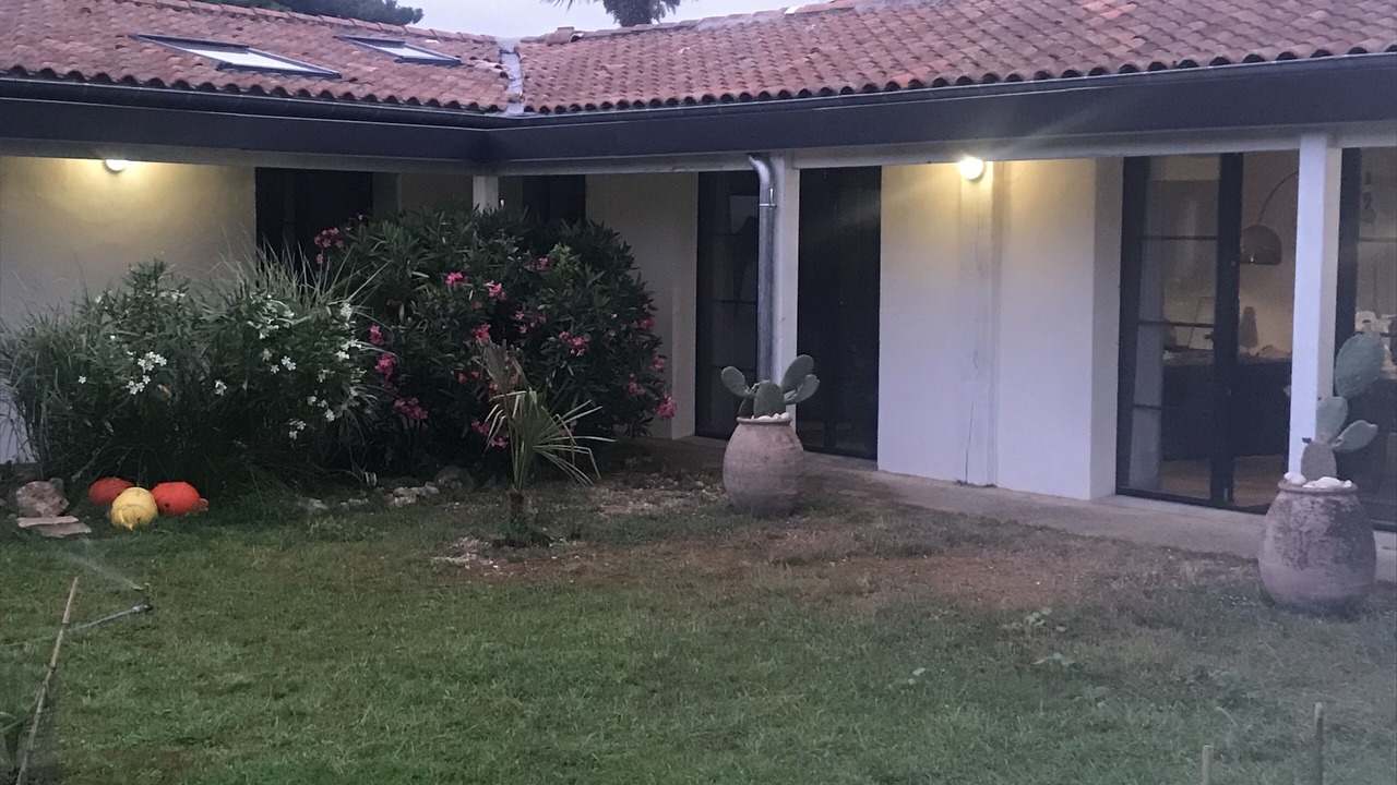 Photo of Outdoor in Saint-Denis-d'Oleron