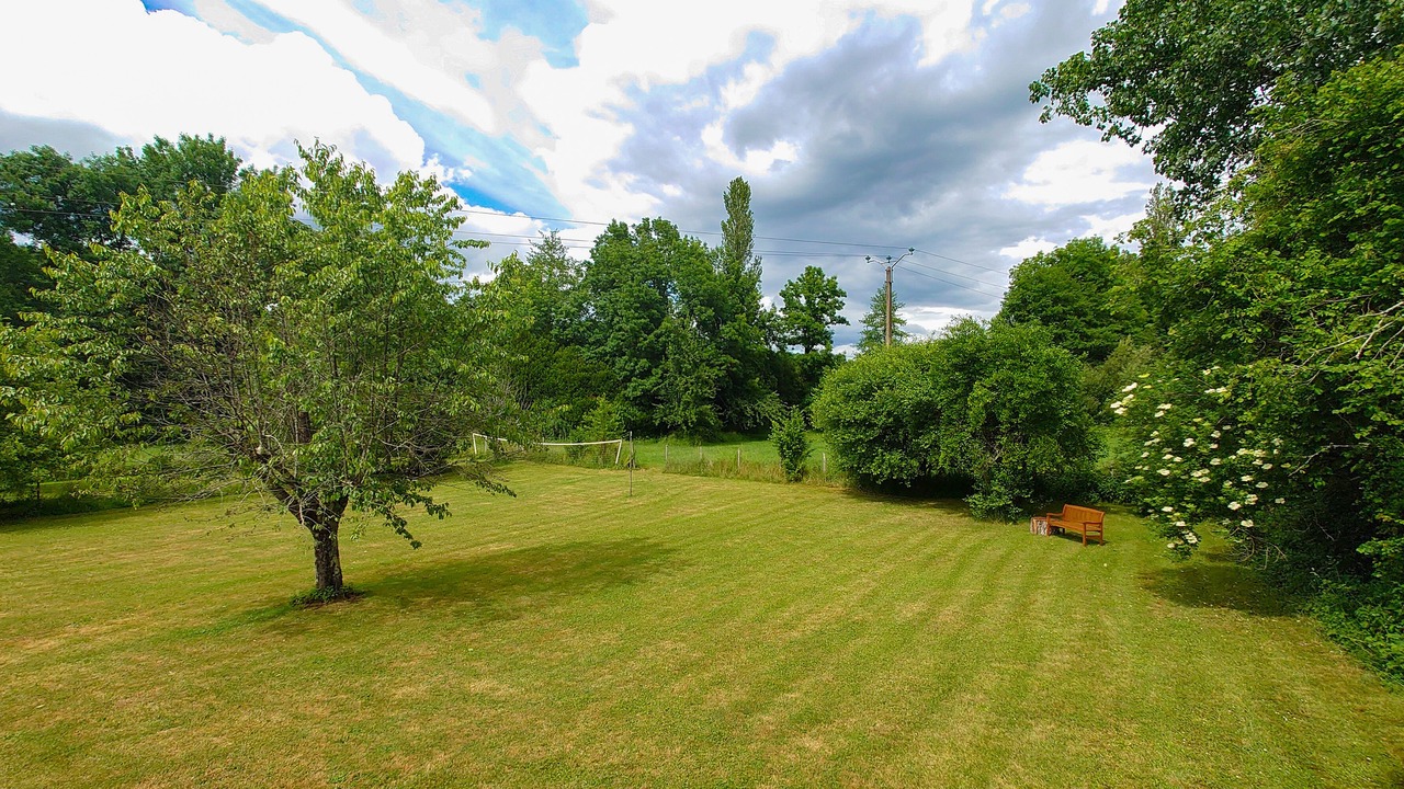 Photo of Outdoor in Sainte-Alvere
