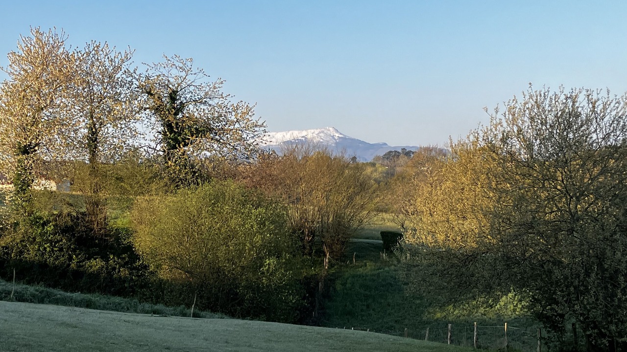 Photo of Outdoor in Arcangues