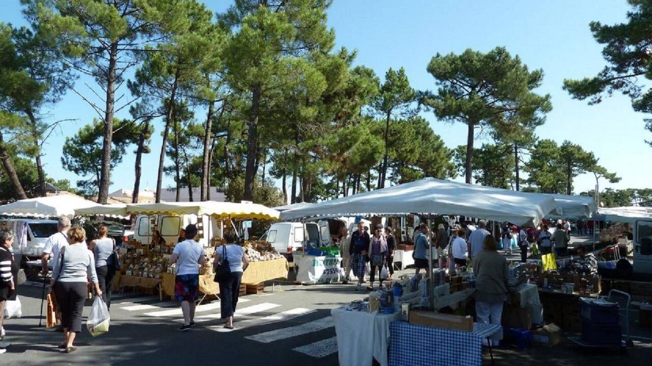 Photo of Outdoor in La Palmyre