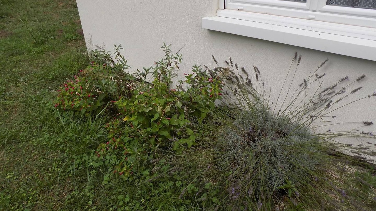 Photo of Outdoor in Meschers-sur-Gironde