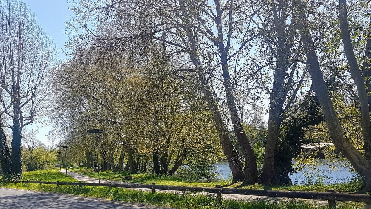 Photo of Outdoor in Trelissac