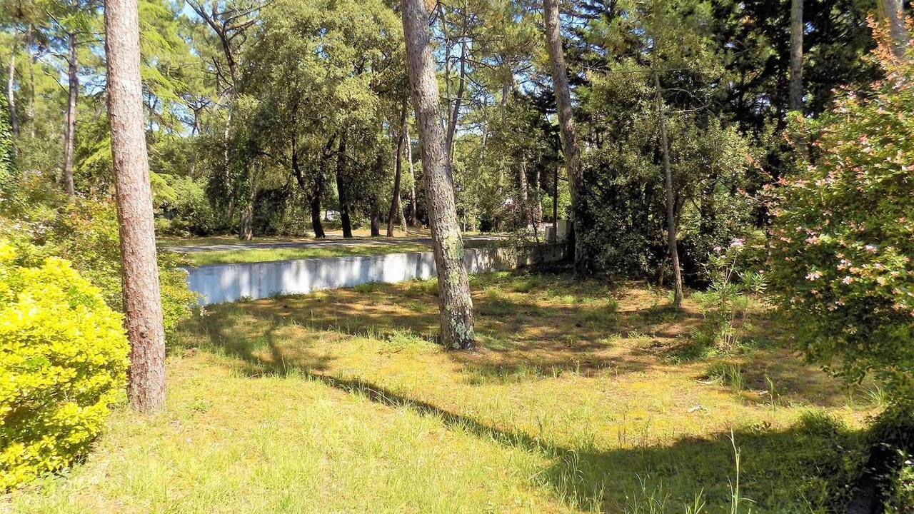 Photo of Outdoor in La Palmyre