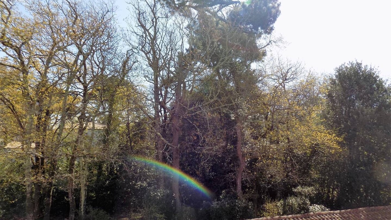 Photo of Outdoor in Saint-Georges-de-Didonne