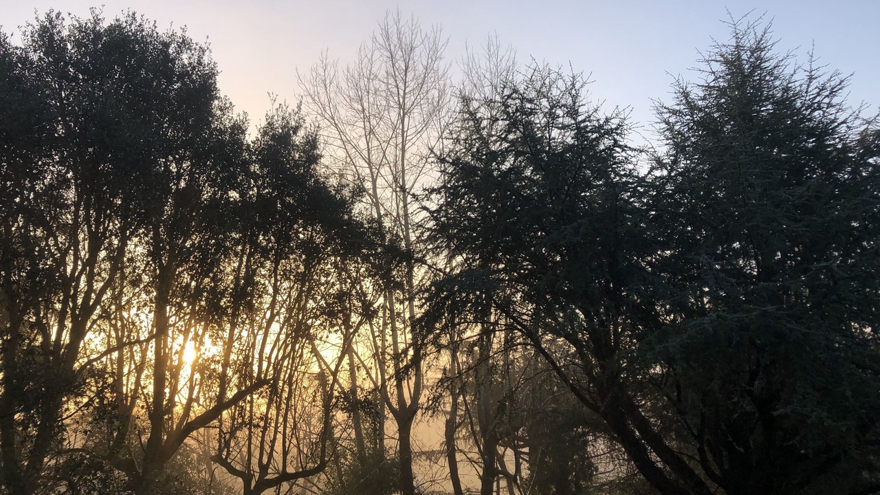 Photo of Outdoor in Saint-Jean-de-Luz