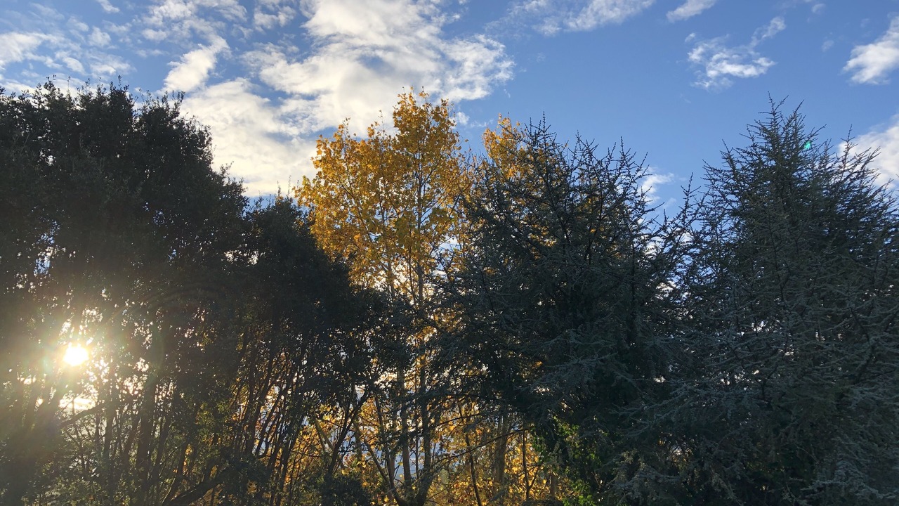 Photo of Outdoor in Saint-Jean-de-Luz