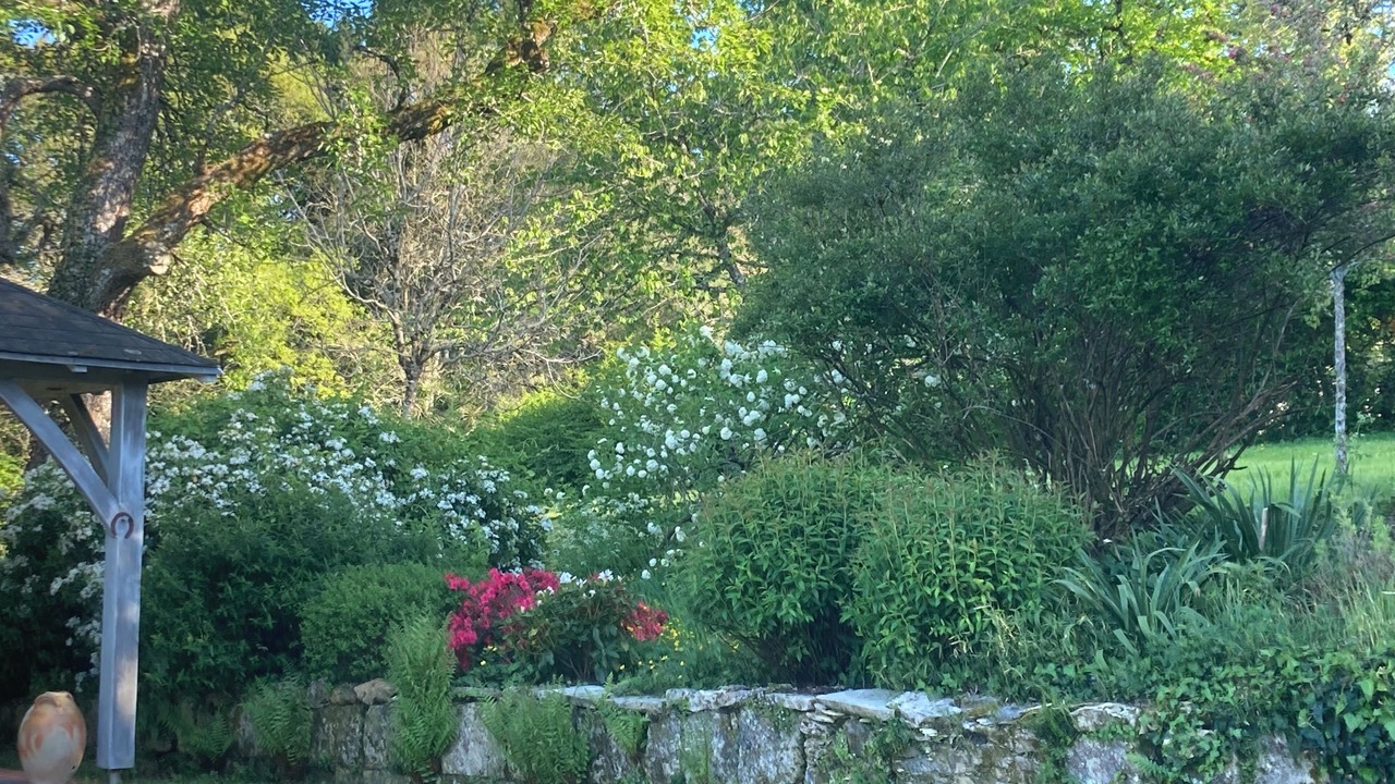 Photo of Outdoor in Saint-Leon-sur-l'Isle