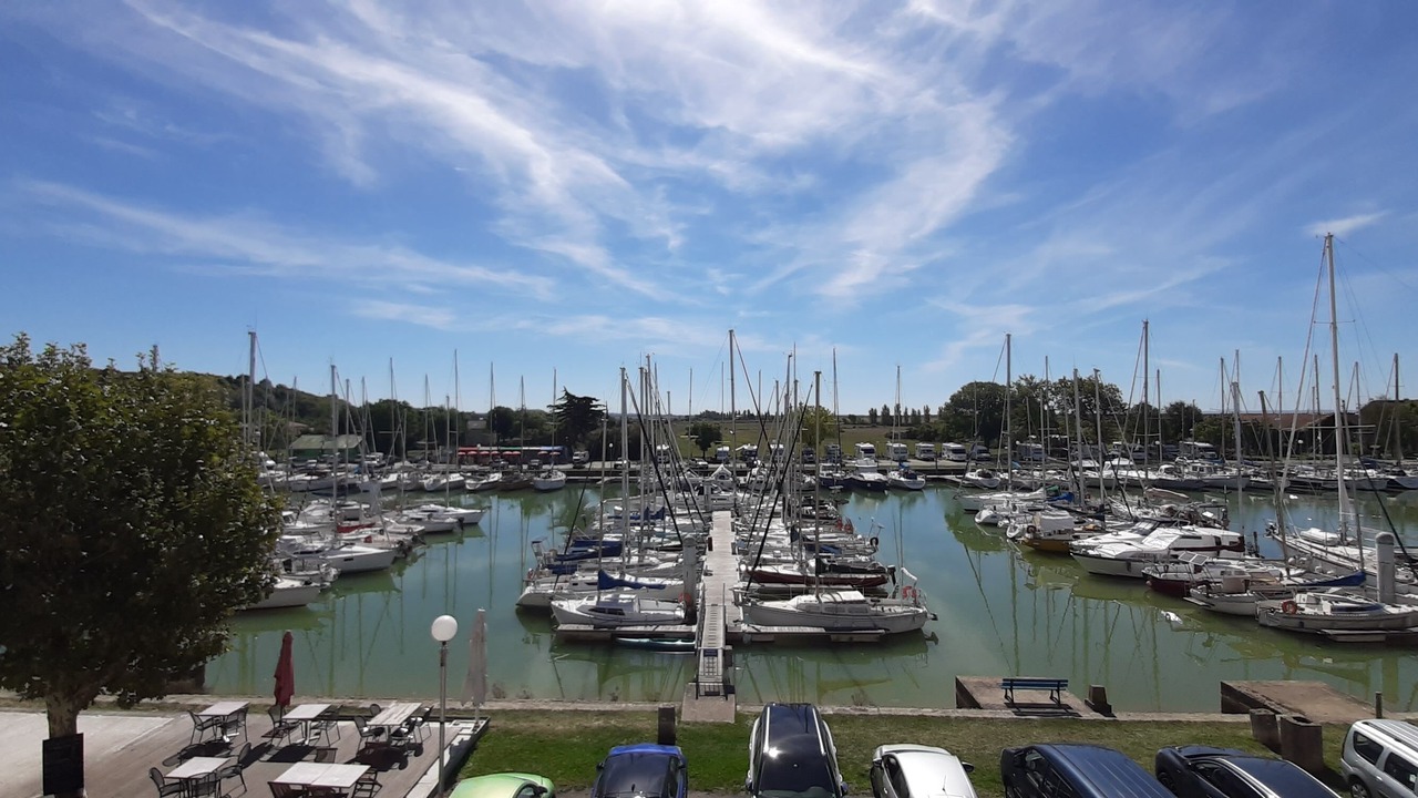 Photo of Others in Mortagne-sur-Gironde