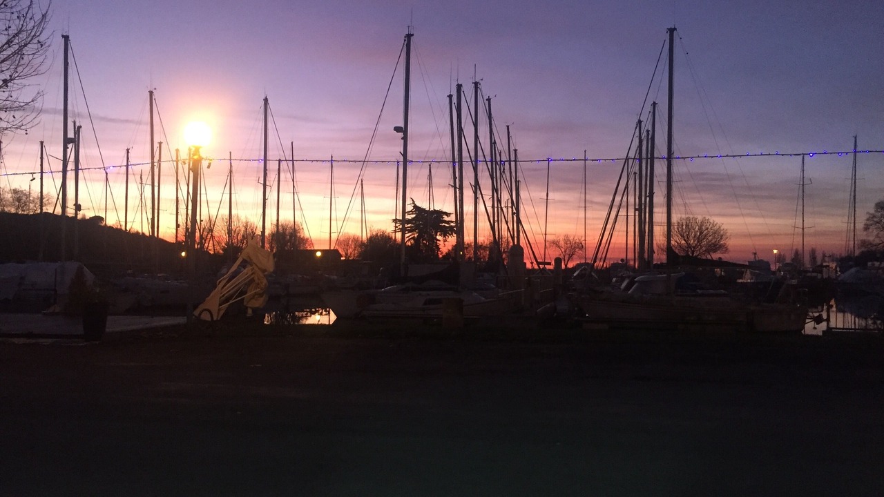 Photo of Others in Mortagne-sur-Gironde