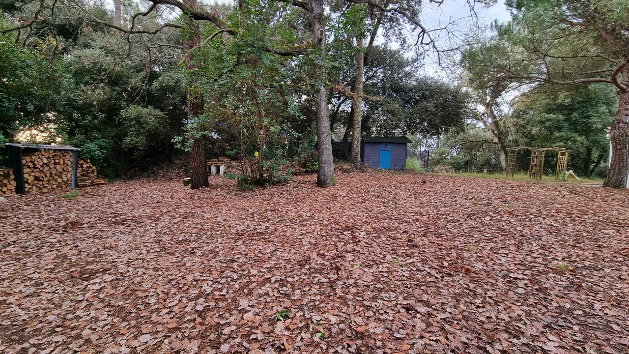 Photo of Outdoor in Saint-Pierre-d'Oleron