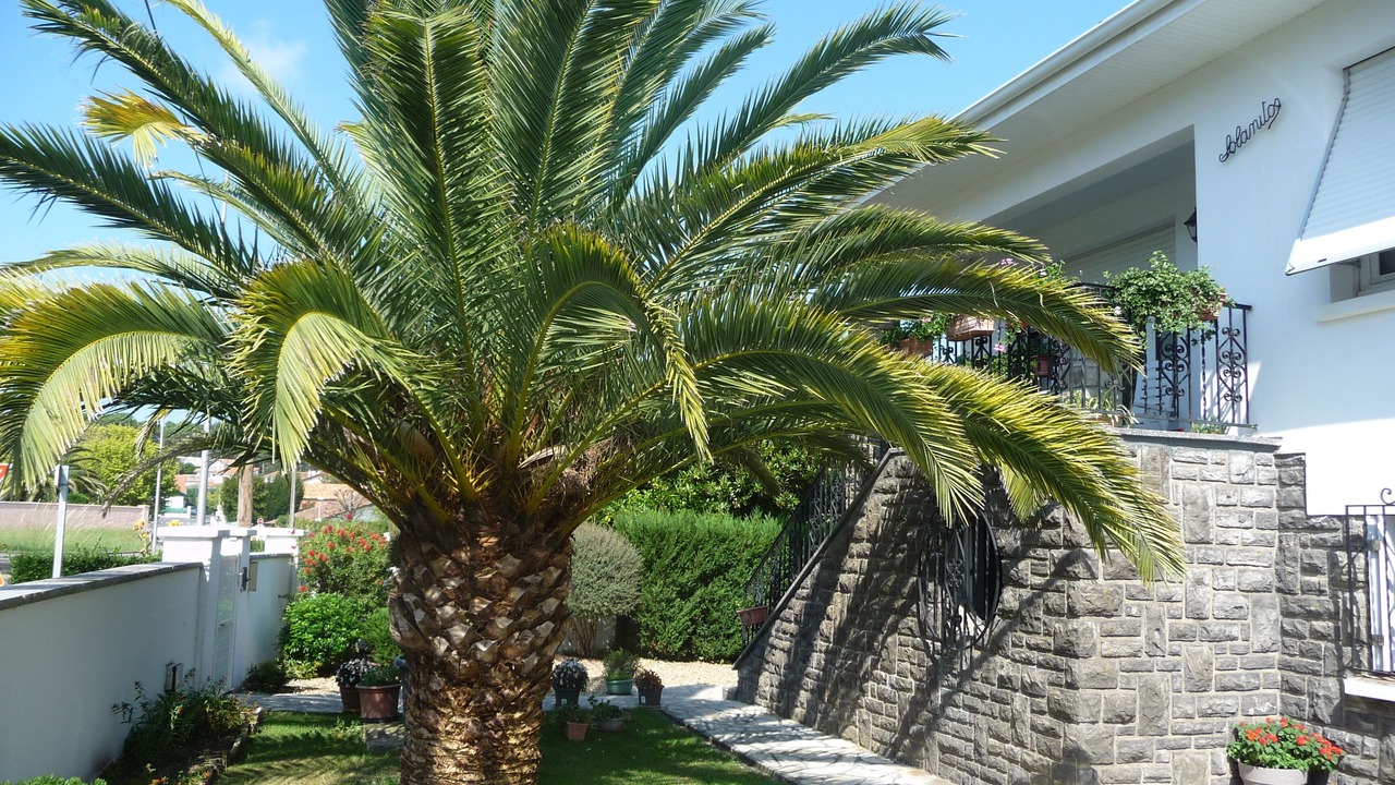 Photo of Outdoor in Anglet